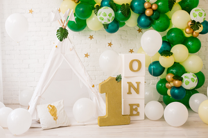 WILD ONE FIRST BIRTHDAY PARTY GUIDE